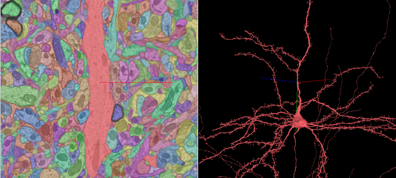 2D Segmentation Quality Control